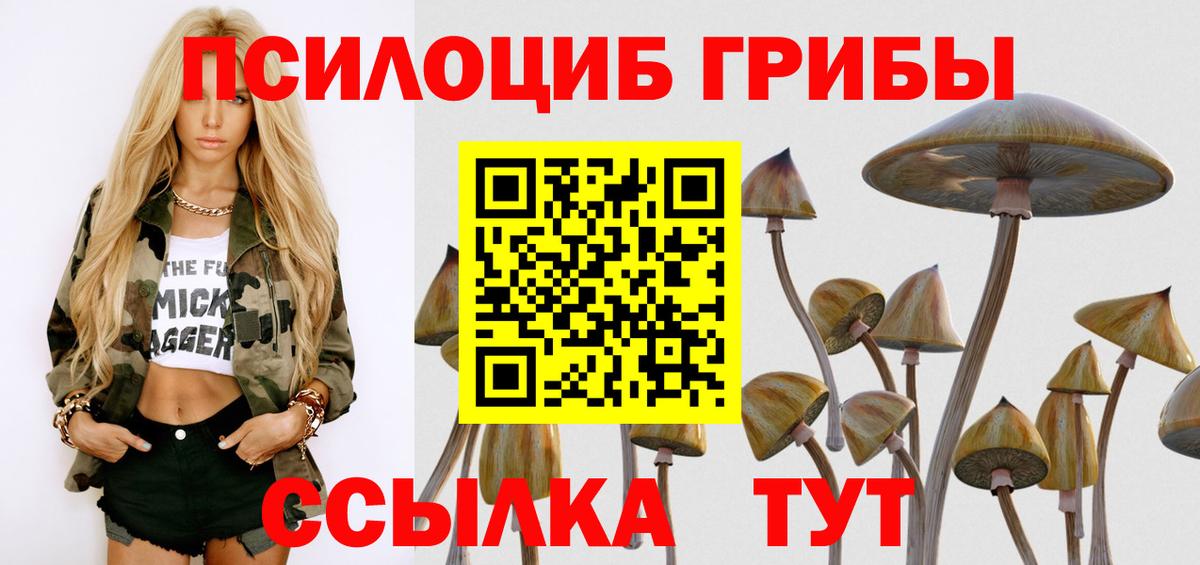 Псилоцибиновые грибы MAGIC MUSHROOMS  Вход с VPN  Славянск-на-Кубани 