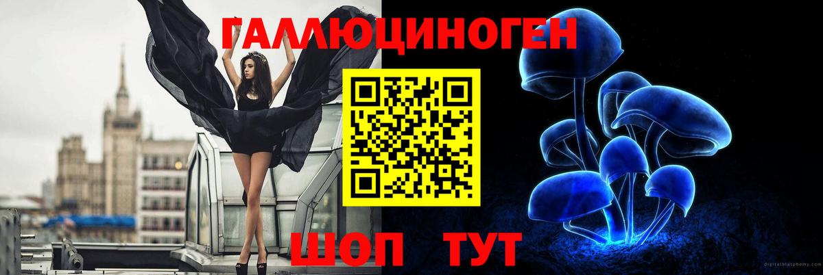Галлюциногенные грибы ЛСД Славянск-на-Кубани
