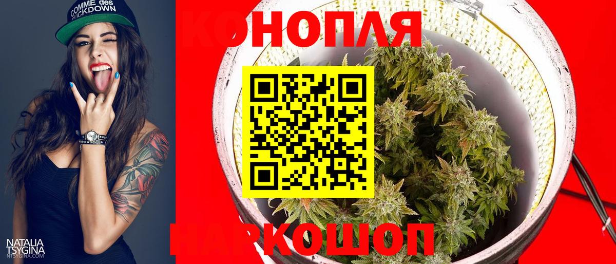 Шишки марихуана план Славянск-на-Кубани